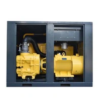 Portable Engine Compresor De Aire Screw Air Compressor